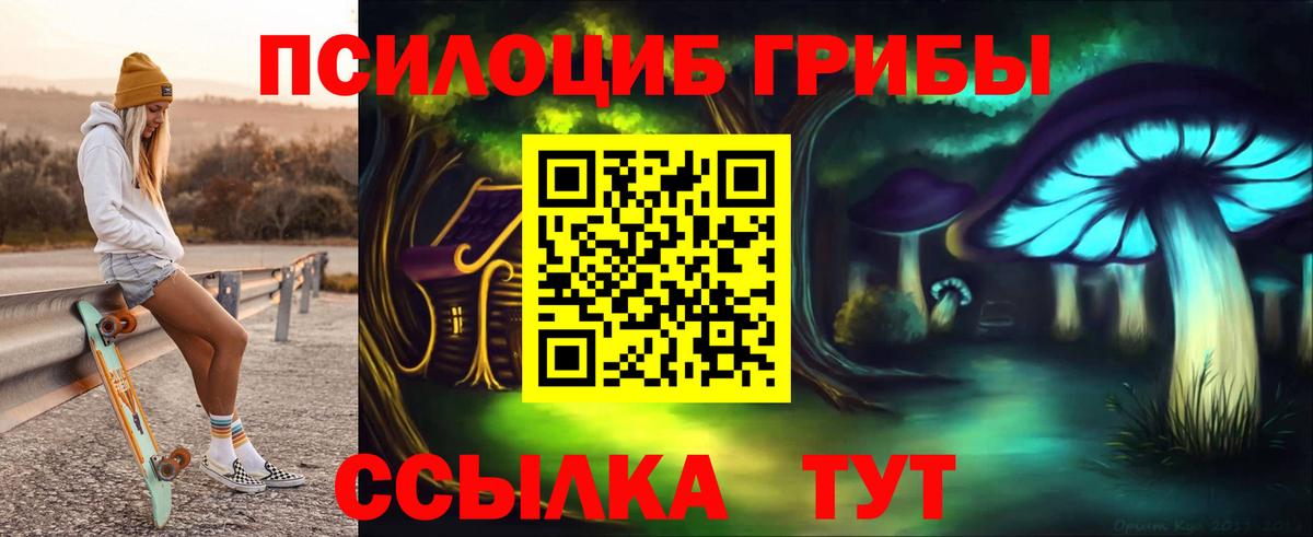 Михайловск  Псилоцибиновые грибы GOLDEN TEACHER  Псилоцибиновые грибы Psilocybe  где продают наркотики  Вход с VPN 