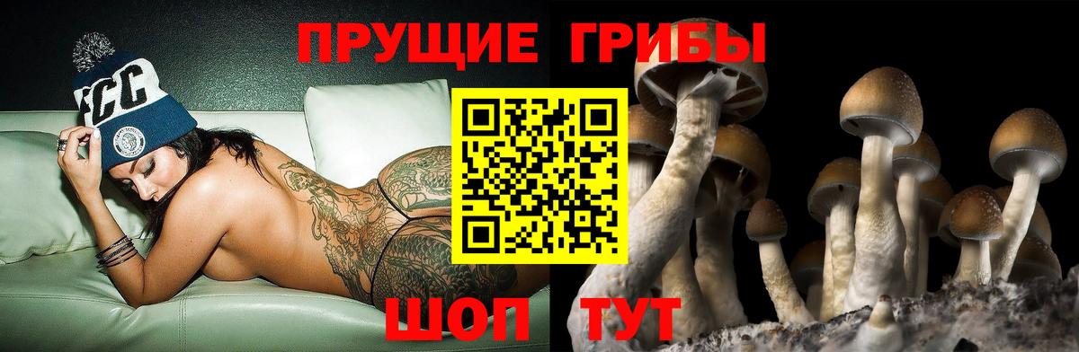 Псилоцибиновые грибы GOLDEN TEACHER Михайловск